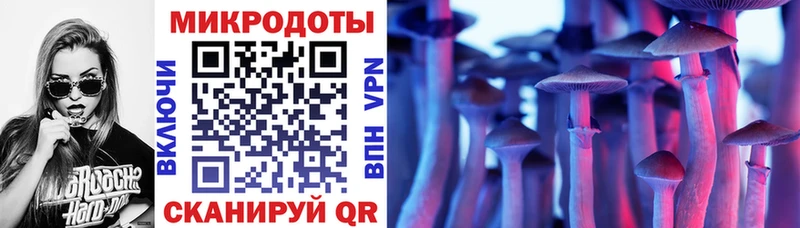 купить наркотик  Зарайск  Псилоцибиновые грибы Psilocybine cubensis 